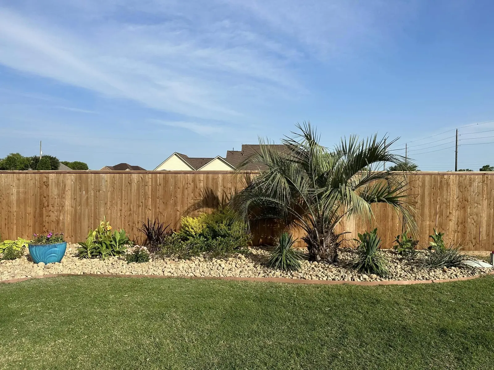 Finished residential rock bed with palms and planting