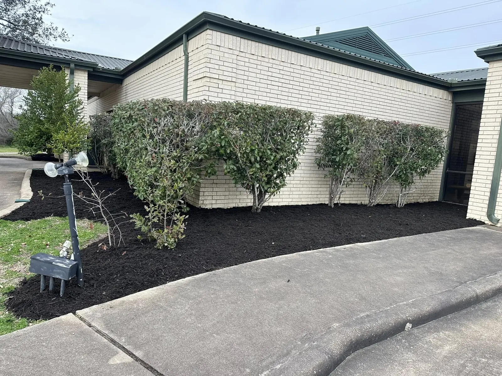 Fresh mulch and trimmed shrubs along a commercial building