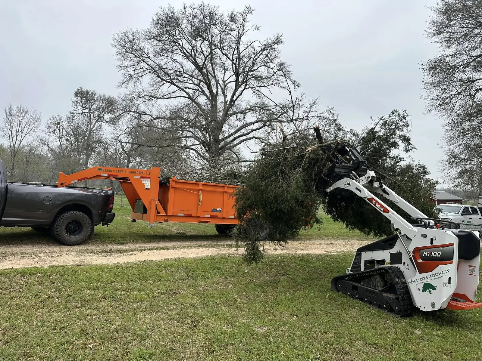 Brand S skid steer loading cut branches into a debris trailer
