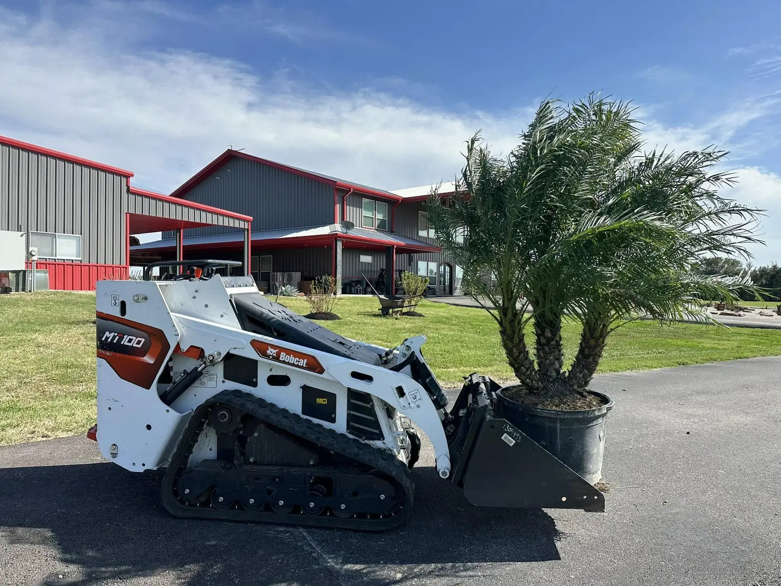 Palm delivery and placement during a residential landscape project