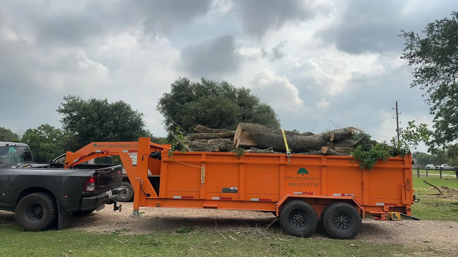 Brand S trailer loaded with logs after tree removal