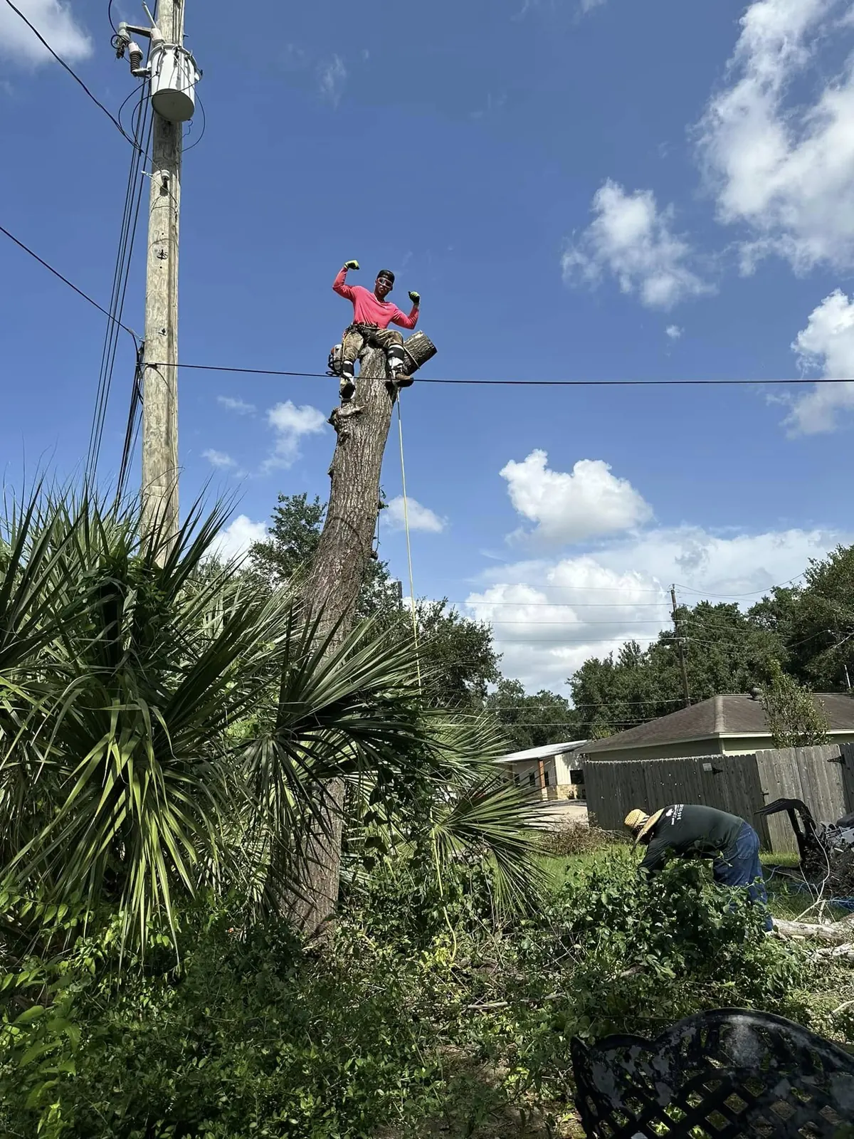 Late-stage residential tree removal near a utility corridor