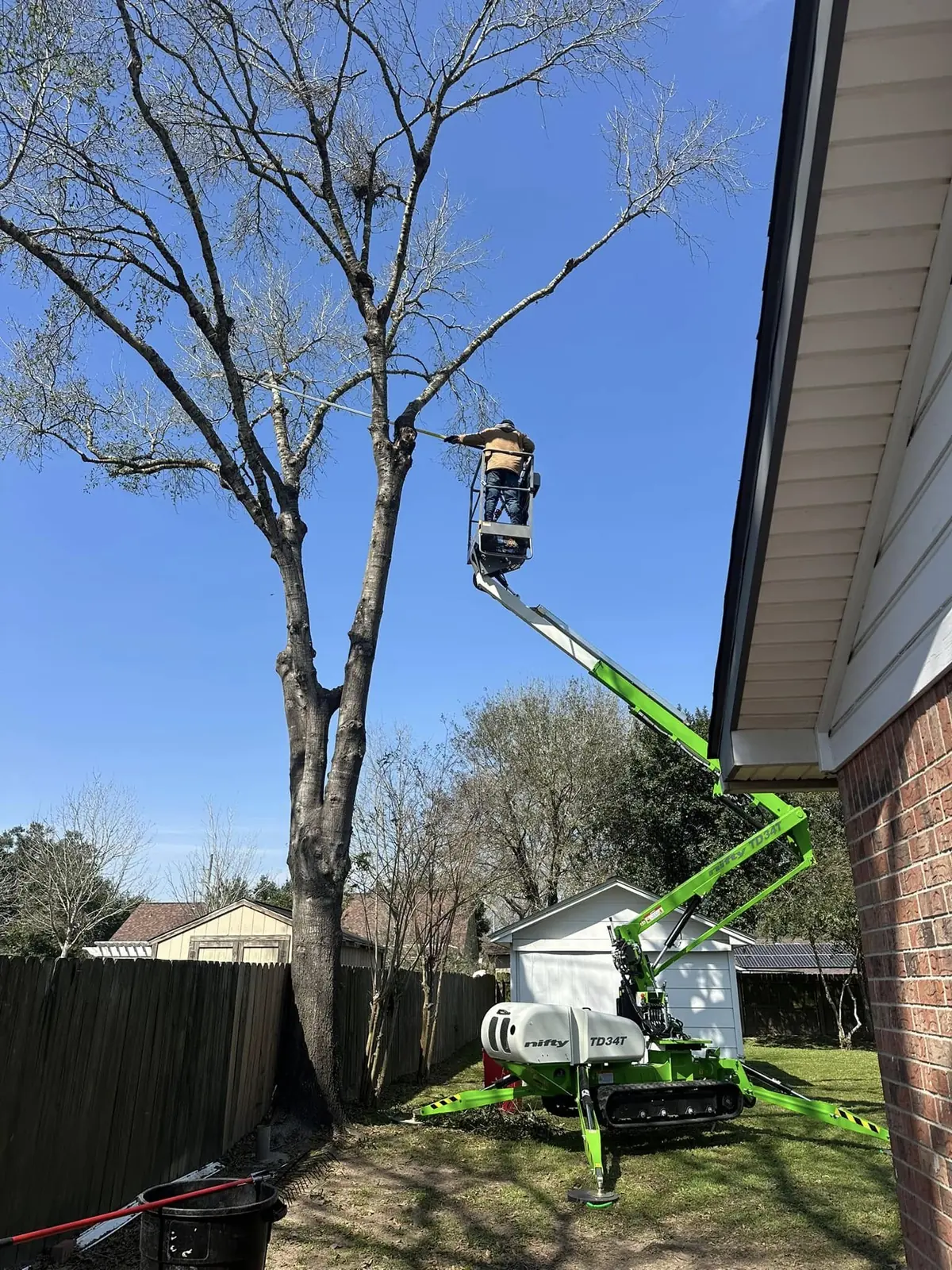 Lift-assisted tree pruning in a narrow residential yard