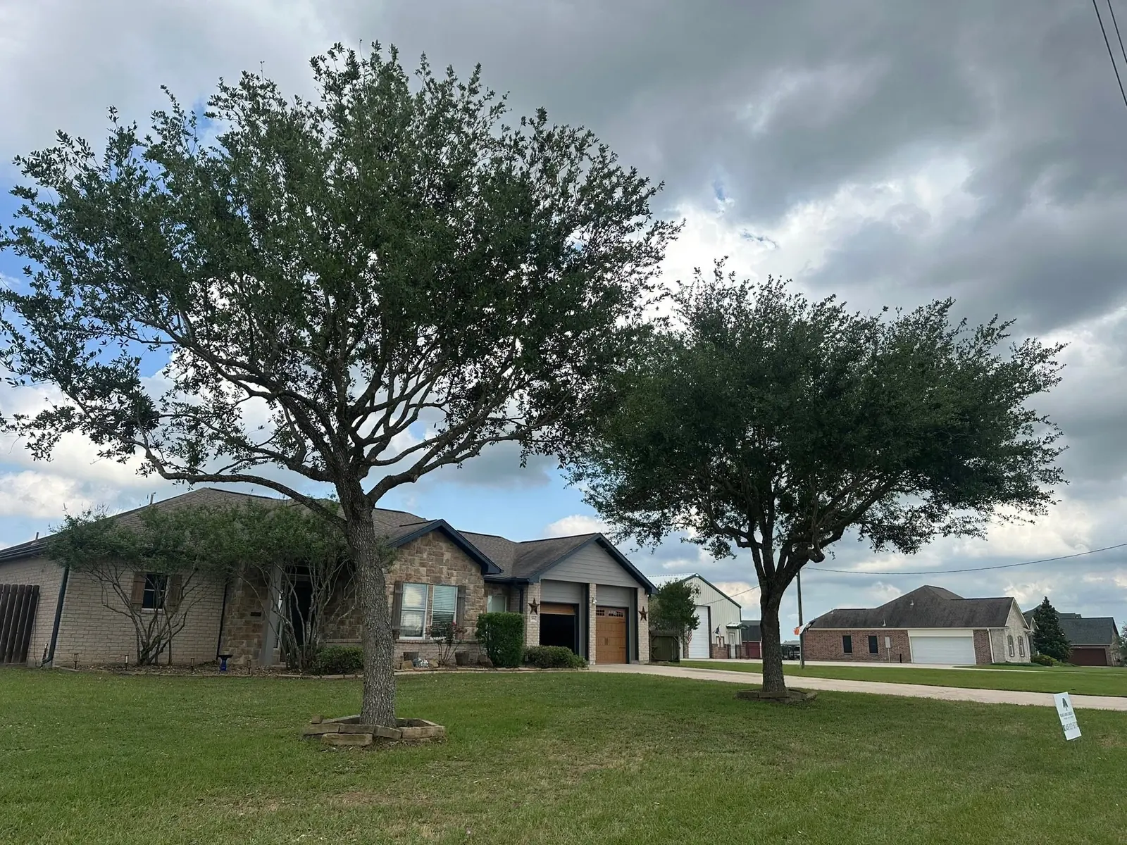 Completed tree-care view at a residential property