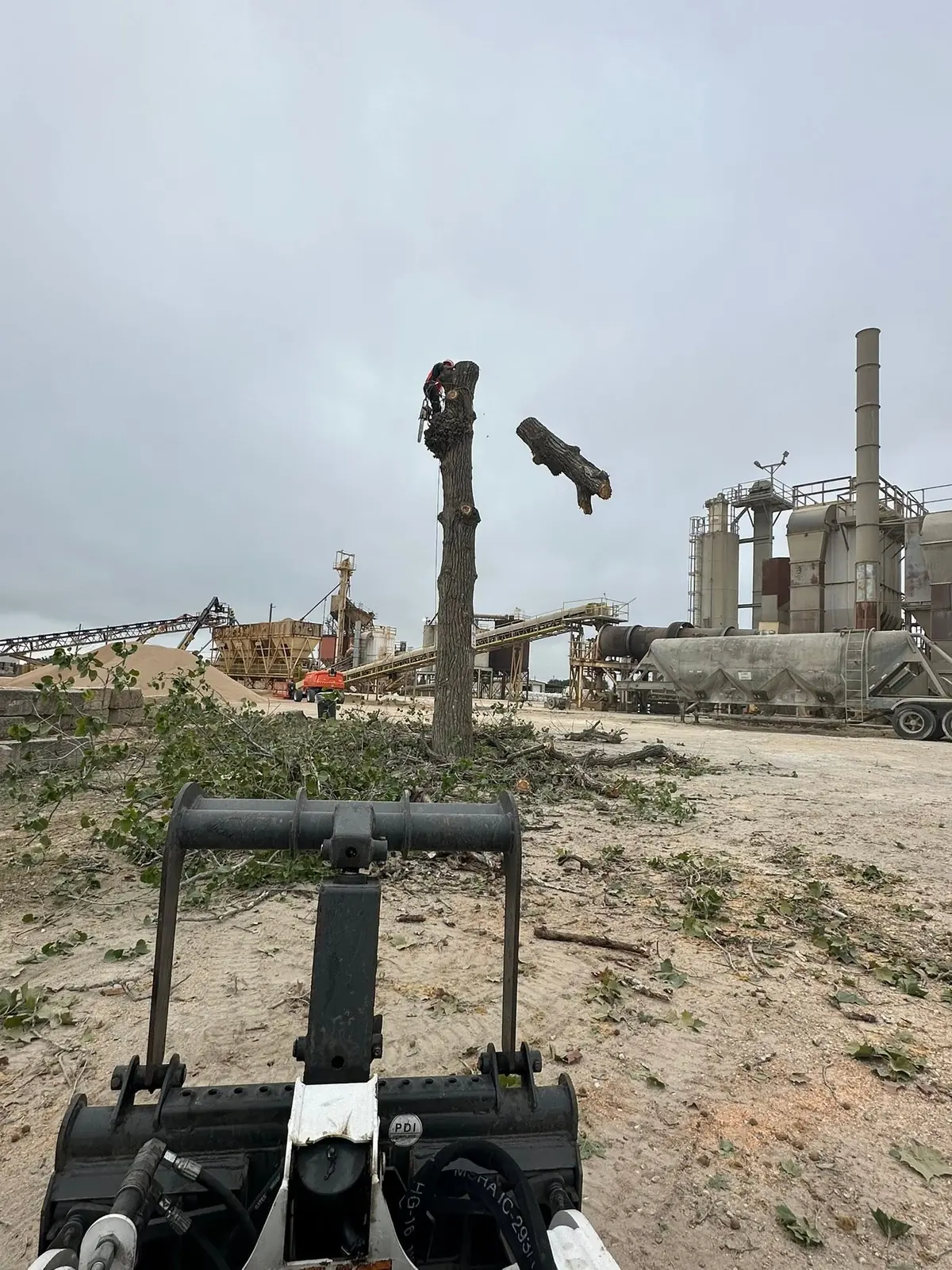 Sectional tree removal in progress at an industrial property