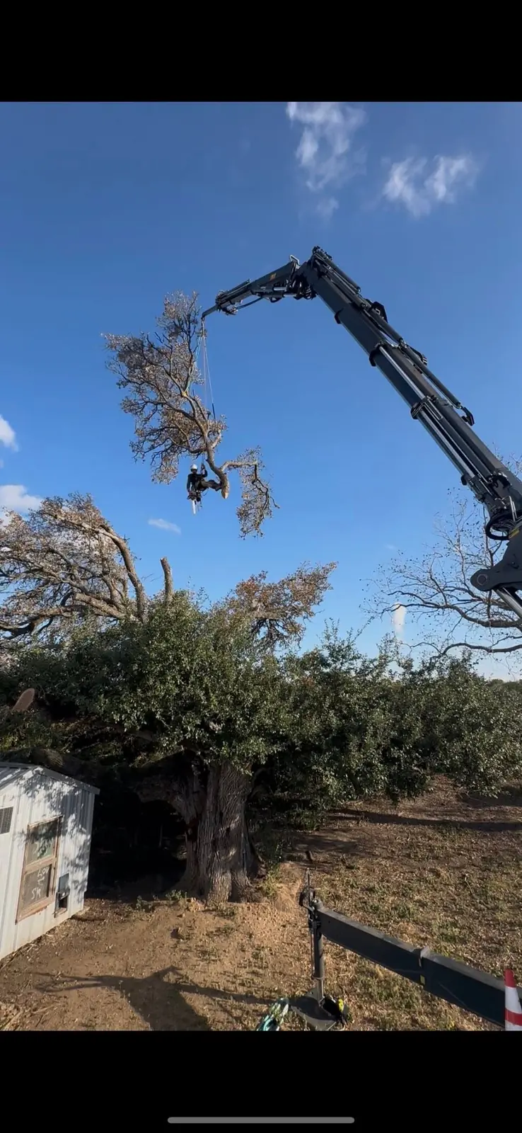 Crane-assisted tree removal at a rural residential property