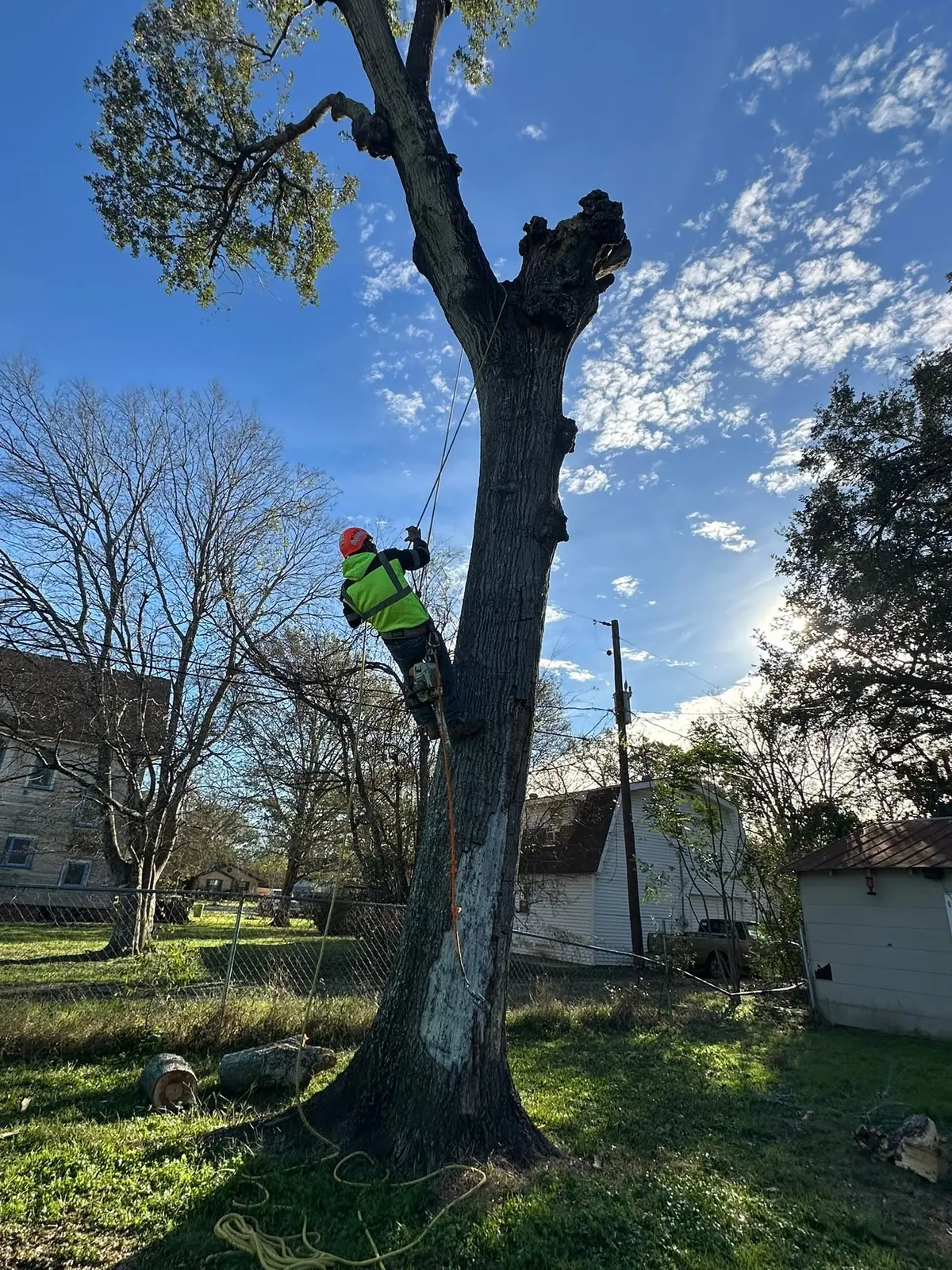 Close view of a climber dismantling a residential tree