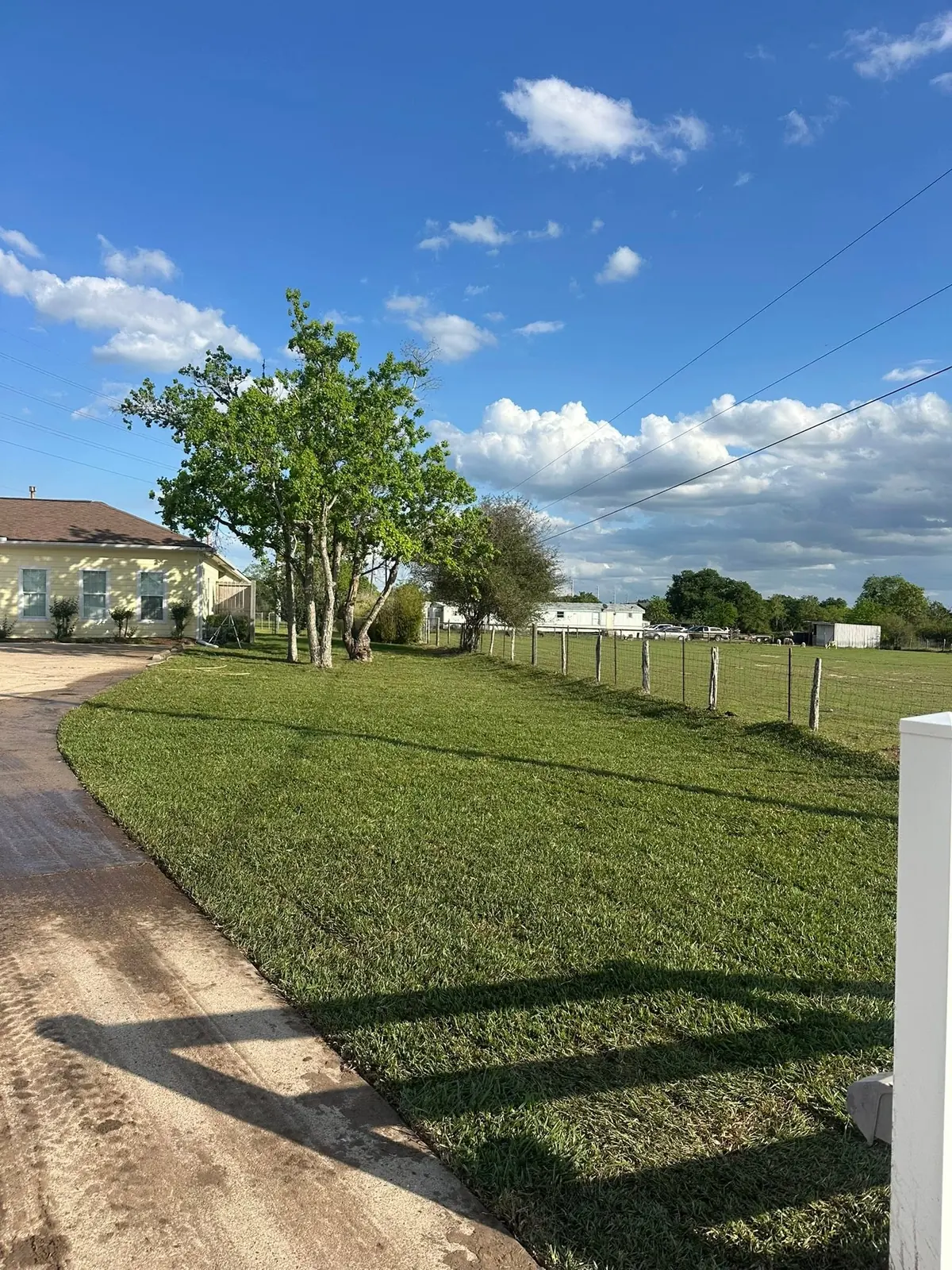 Completed sod installation along a residential driveway