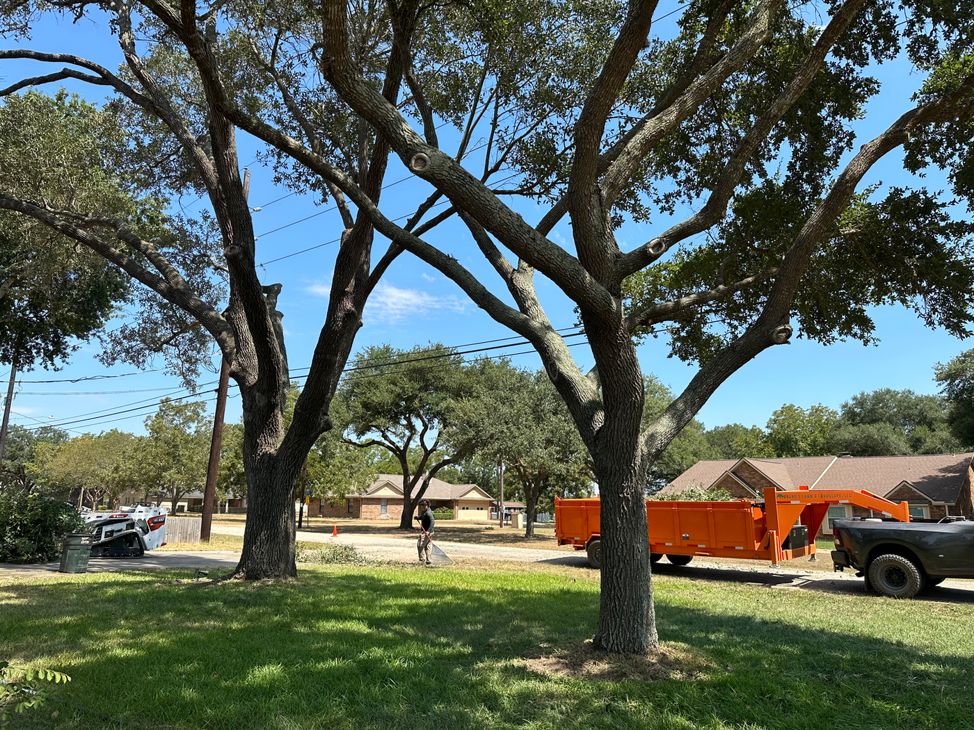 Brand S truck and debris trailer at a tree project