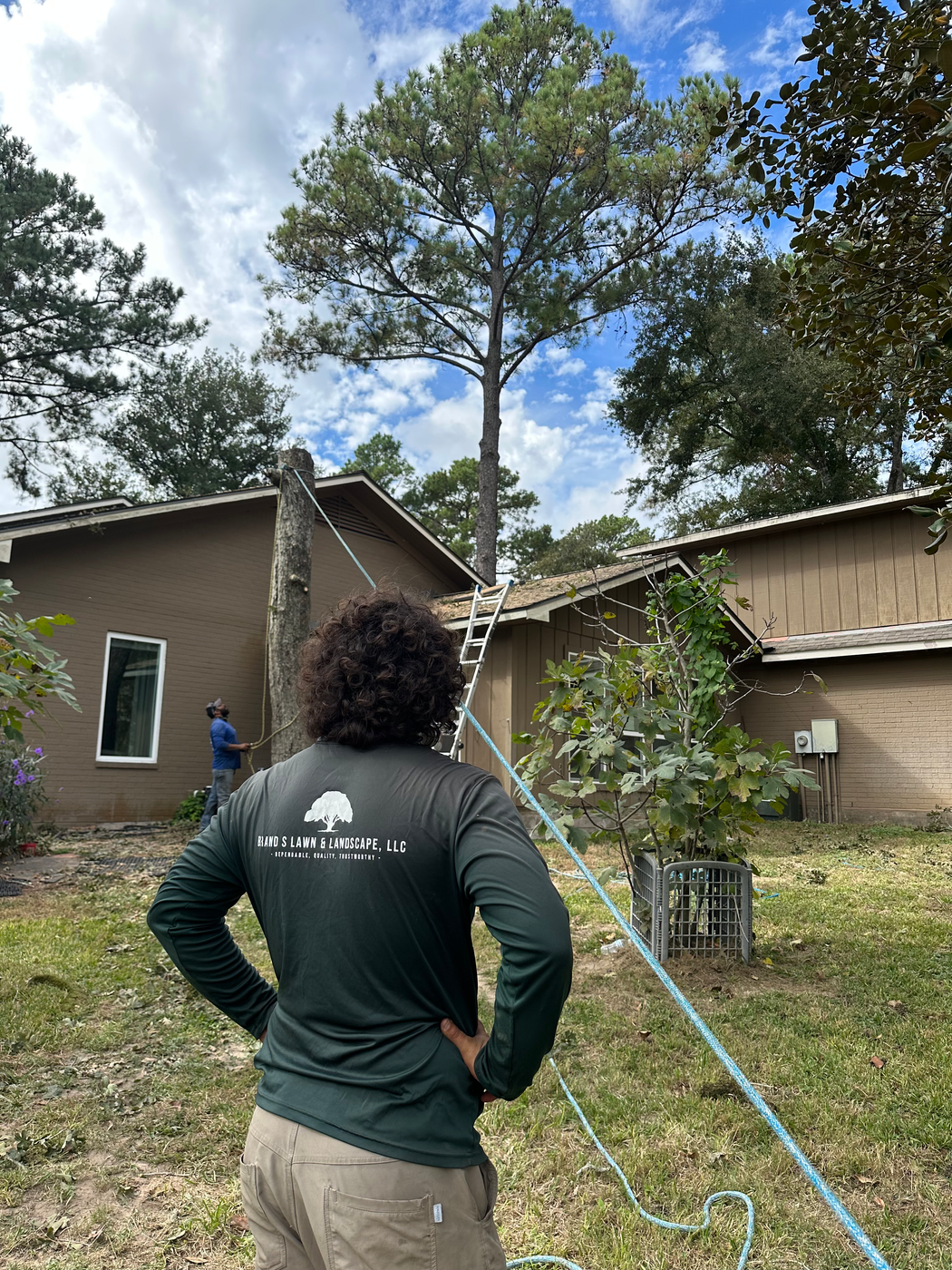Brand S crew member evaluating a tree on a residential property