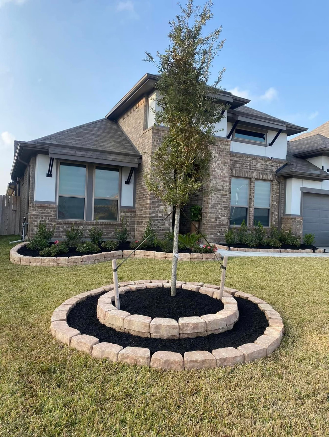 New ornamental tree installed in a circular landscape border